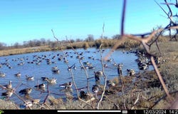 0000 R5 Road, Larned, KS 67550