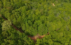 TBD Treadway Ridge Rd, Moravian Falls, NC 28697