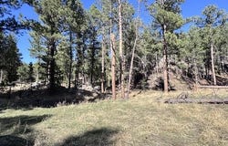 25325 Edyth Circle, Custer, SD 57730