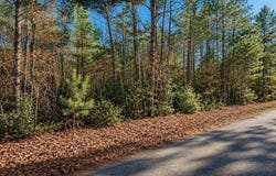 84 Grant 733, Sheridan, AR 72150