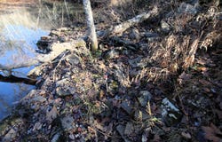 287 Copeland Cave Road, Cleveland, AR 72030