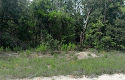 Tbd SE 28TH STREET, MORRISTON, FL 32668