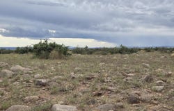 VL WILLOW SPRINGS RANCH Lot 2-9, San Antonio, NM 87832