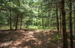 9.73 acres E Flint Street, Lyndon Station, WI 53944