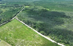 X Baron/Harcus Rd, Bonifay, FL 32425