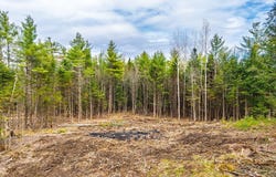 2 Forest Drive, Albany Twp, ME 04217