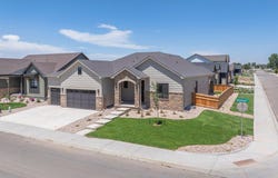 194 Boxwood Dr, Windsor, CO 80550