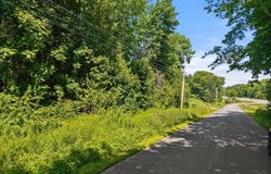 McKenney Road, Stockton Springs, ME 04981