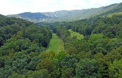 5137  Nicklaus Ln, Massanutten, VA 22840