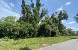 SE Osgood Avenue, Madison, FL 32340