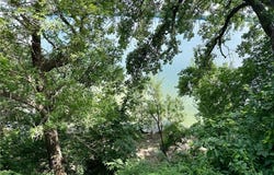 14 Silver's Resort, Elysian, MN 56028