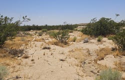 Rudnick Boulevard, California City, CA 93505