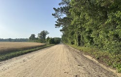 04 Pine Hill Church Road, Waynesboro, GA 30830