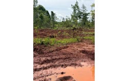 0 Live Oak Rd, Luverne, AL 36049