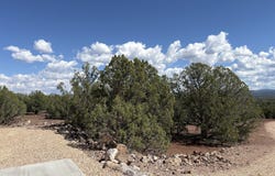 1652 N Franks Place, Williams, AZ 86046