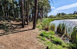 2422 Rainbow Lake Drive, Lakeside, AZ 85929