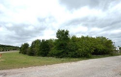 Mcalister, Mingus, TX 76463