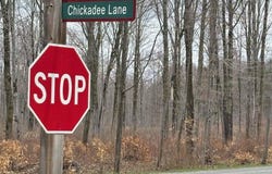 47 Chickadee Lane, Thompsonville, MI 49683
