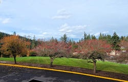 296 WOODRIDGE Dr, Eugene, OR 97405