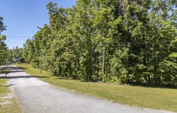 COTTAGE GROVE Rd, Counce, TN 38326