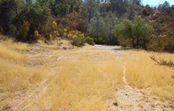 0 Lakeside Dr, Mountain Ranch, CA 95246