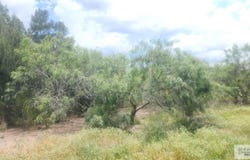 31099 FM 1575, LOS FRESNOS, TX 78566