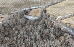 FAYNE Rd, Brighton, TN 38011