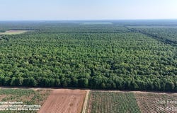1235 Hwy 107, Morrow, LA 71356