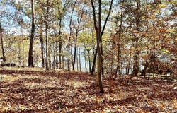 0 RANCH MARINA ROAD, PELL CITY, AL 35128