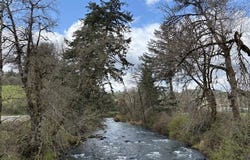 0 Old Railroad Grade RD, Yamhill, OR 97148