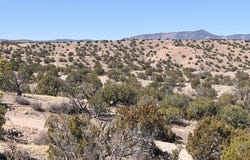 Abbe Springs lot: 124, Magdalena, NM 87825