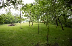 425 Clinton Street, Mendon, MI 49072