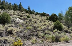 352 Meadow Lark DR, Panguitch, UT 84759