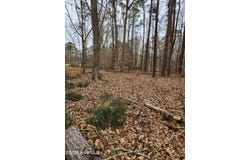 146 Tranquility Lane, Hertford, NC 27944