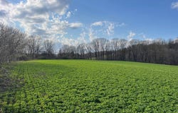 VL Route 39, Gainesville, NY 14066