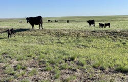 5 County Rd 125, Deer Trail, CO 80105