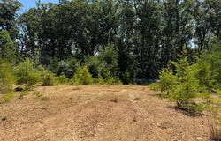 390 FLETCHER, GORE, VA 22637