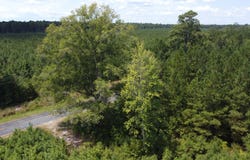 0 Salem Rd, Gable, SC 29501