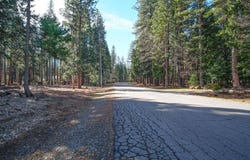 #52 Woodridge Drive, Shingletown, CA 96088