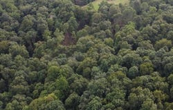 Hidden Acres RD, Tell City, IN 47586