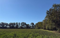1 Taylor Circle, Atmore, AL 36502