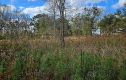 NHN Hwy 11, Poplarville, MS 39470