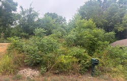 11717 Maywood Drive NE, Sparta, MI 49345