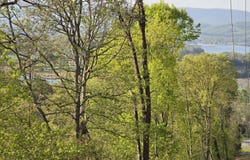 Tr-4 BOATMANS MOUNTAIN-25.54ac, Morristown, TN 37814