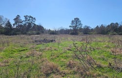 607 County Road 134, GARRISON, TX 75946