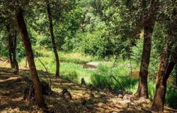 11856 Tom Ray Drive, Grass Valley, CA 95949
