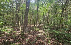 Cherokee Village, AR 72529