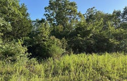 Tract 5 MC 5013, Everton, AR 72633