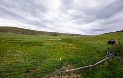 816 Meadow Way, Livermore, CO 80536
