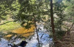120 Ross Creek County Road 450, Seney, MI 49883